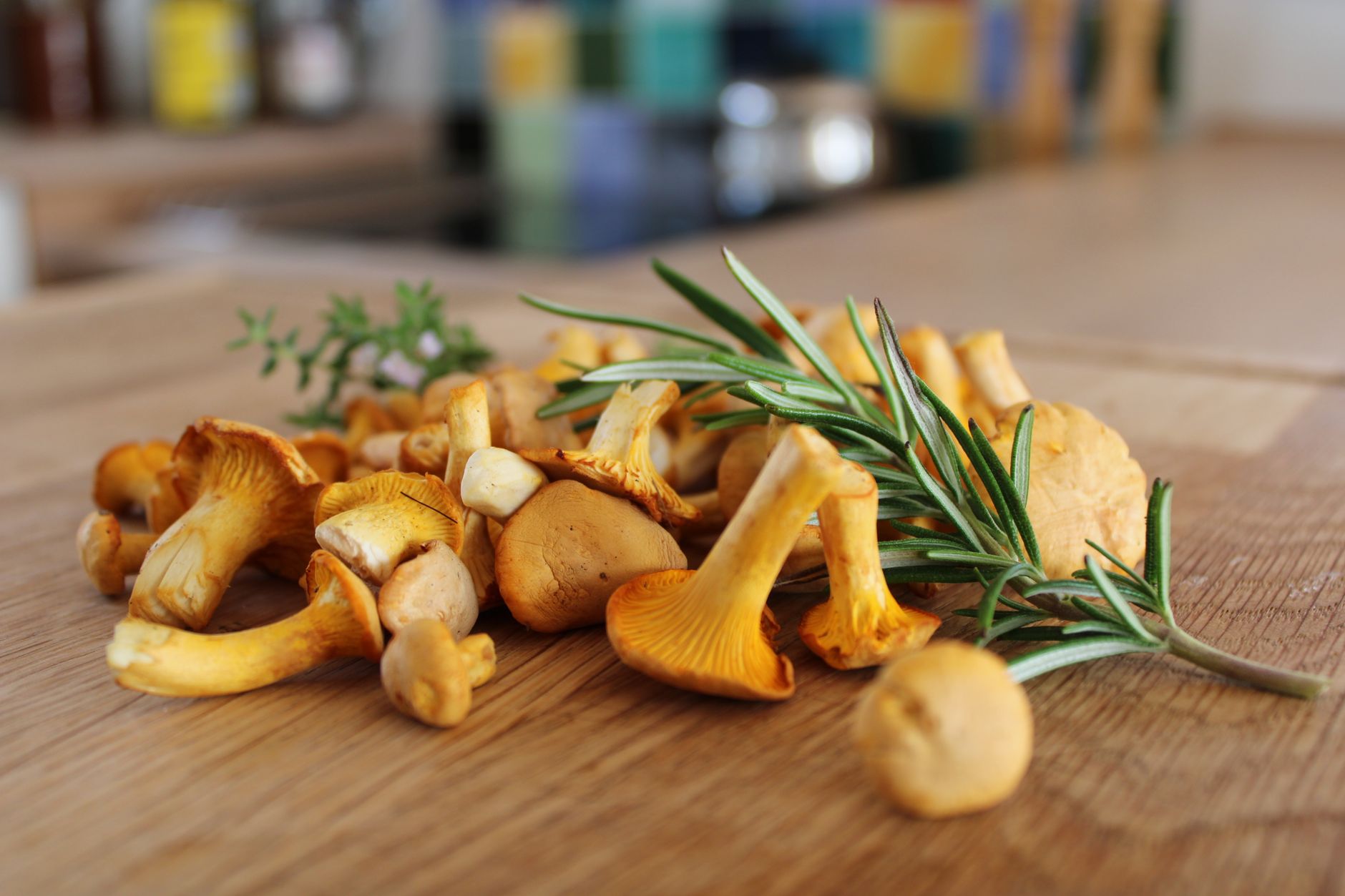 Chanterelle Mushrooms